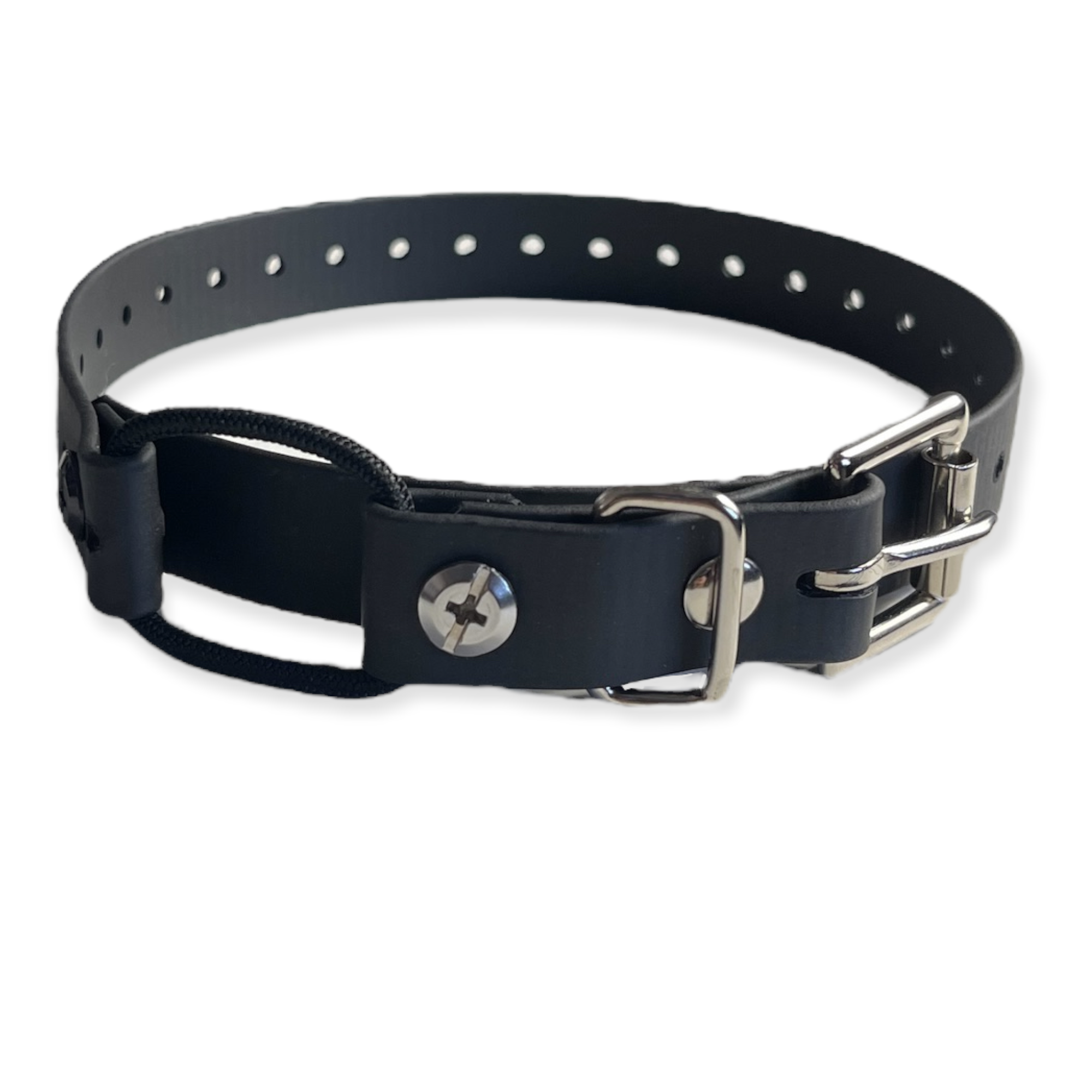 3/4' Mini Bungee Collar For Small Dogs