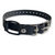 3/4' Mini Bungee Collar For Small Dogs