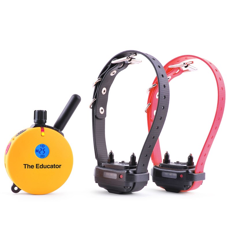 ET-402 2 Dog Educator 3/4 Mile Training E-Collar